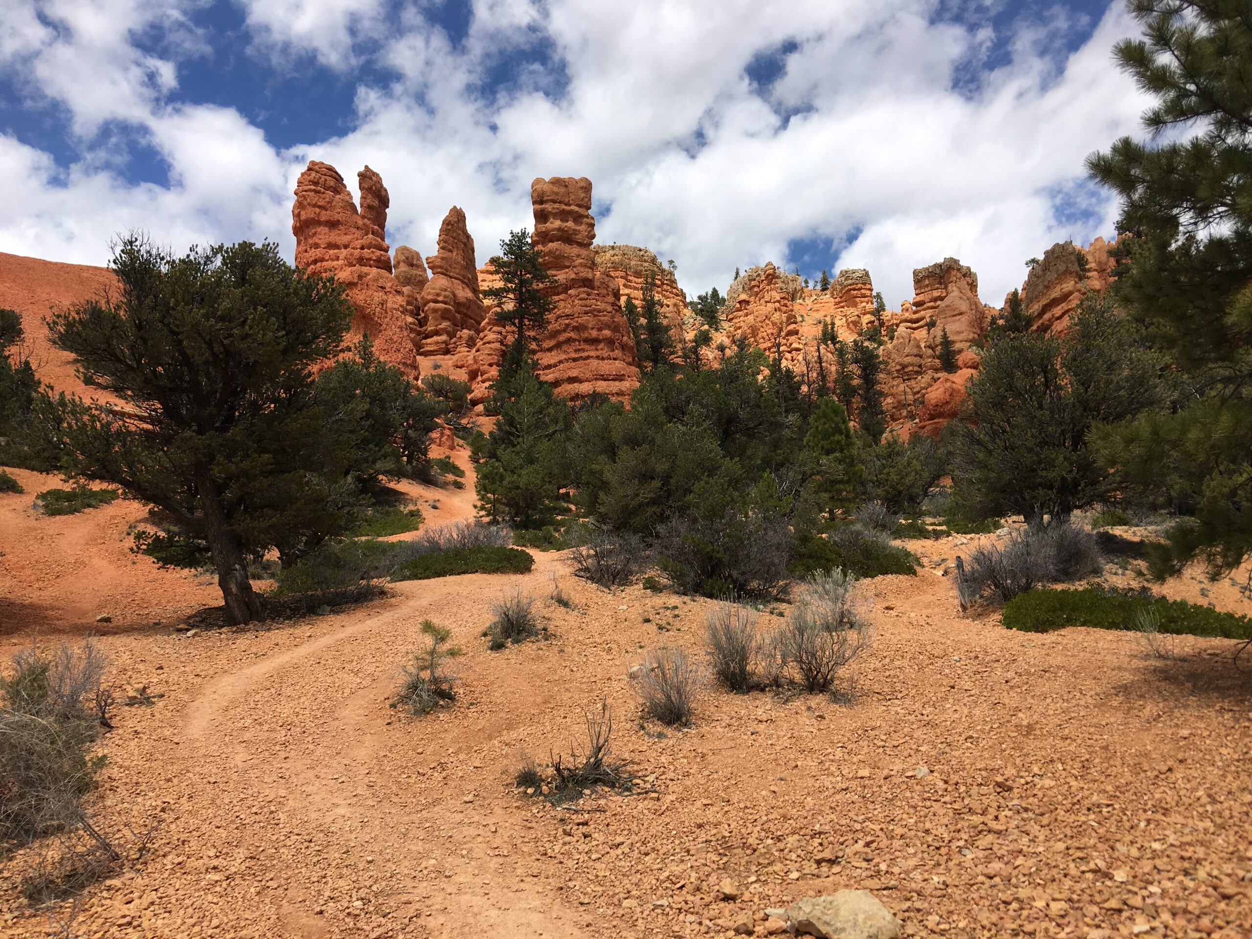 SPECIAL EVENT***BRYCE RALLY*** AUG 12-15 ***MULTI-DAY GUIDED RIDES - Image 8