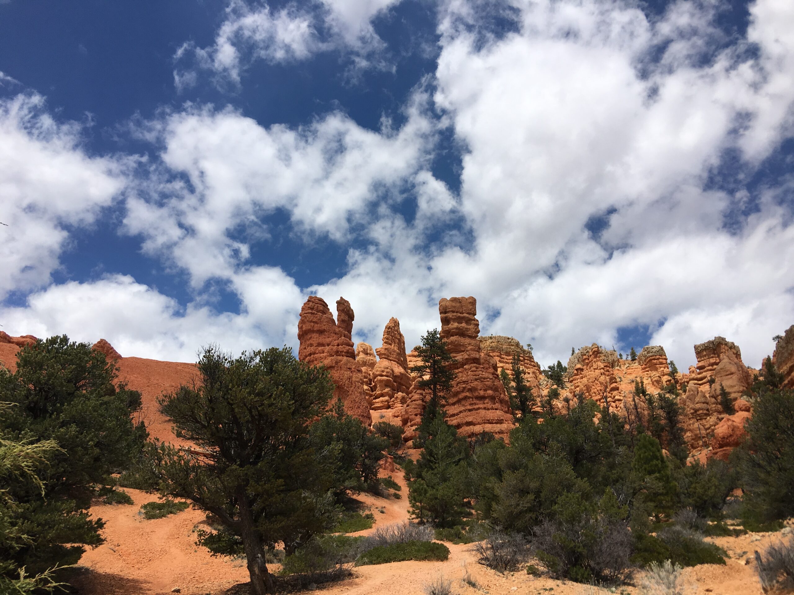 SPECIAL EVENT***BRYCE RALLY*** AUG 12-15 ***MULTI-DAY GUIDED RIDES - Image 9