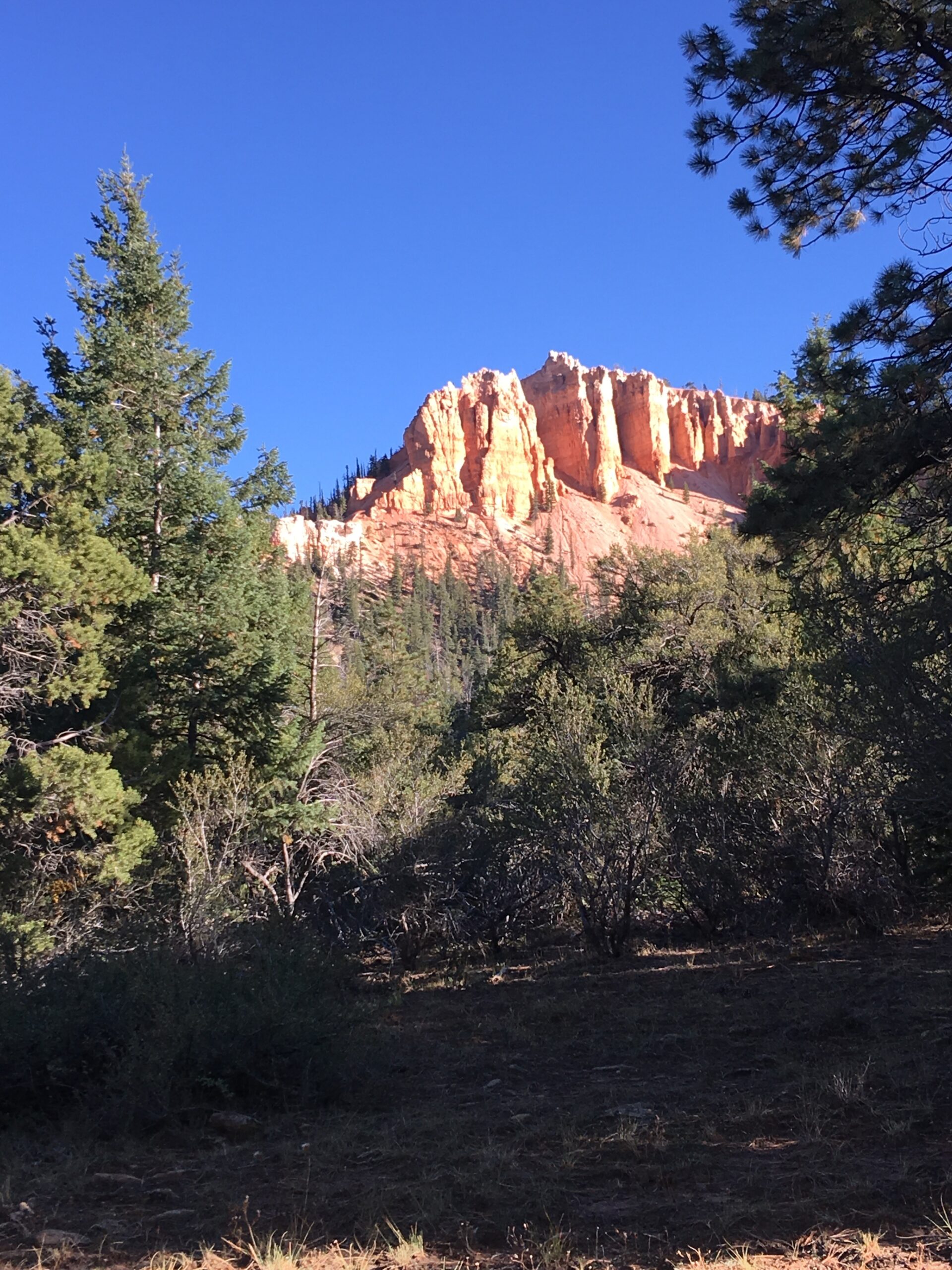 SPECIAL EVENT***BRYCE RALLY*** AUG 12-15 ***MULTI-DAY GUIDED RIDES - Image 16