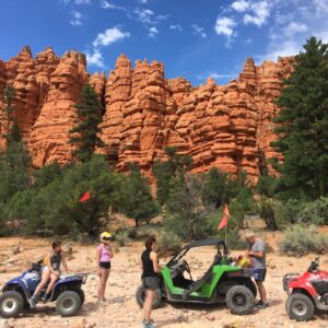 2 Seat 50" UTV - Honda Pioneer