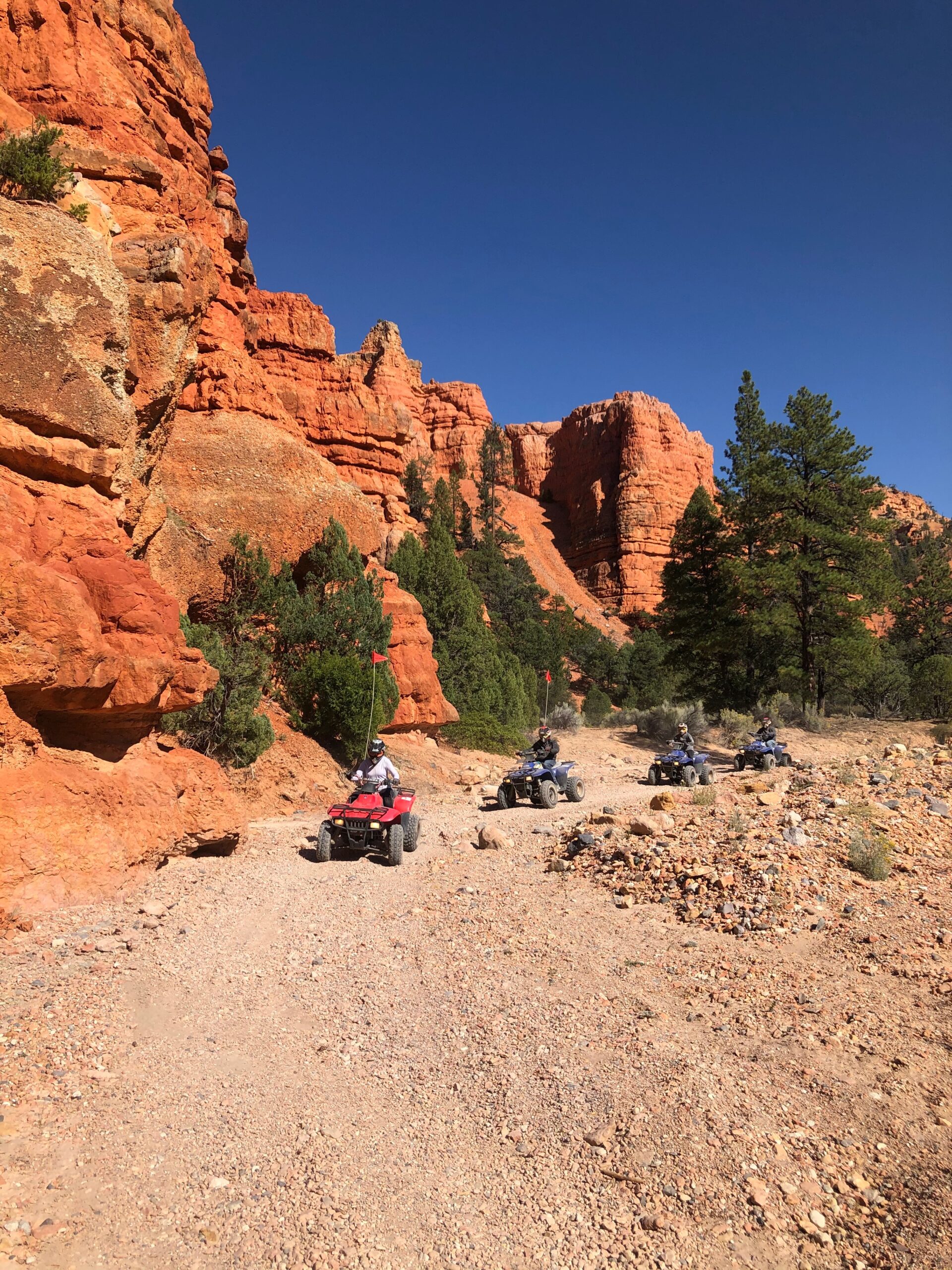 SPECIAL EVENT***BRYCE RALLY*** AUG 12-15 ***MULTI-DAY GUIDED RIDES - Image 4
